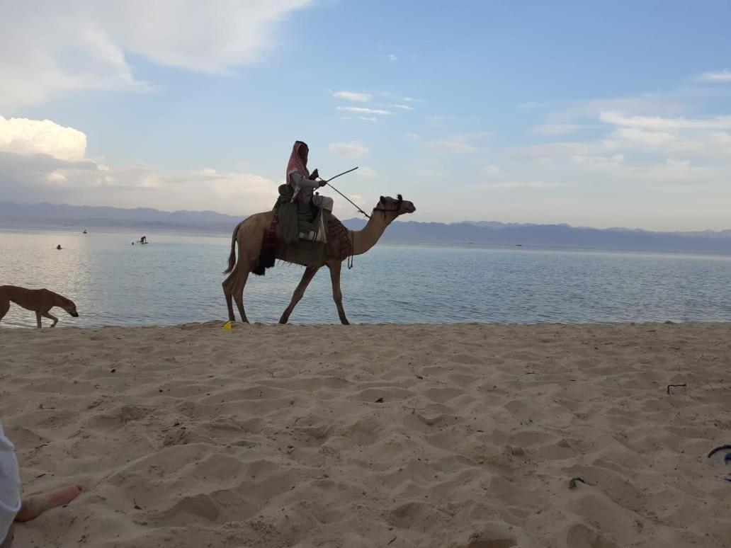 Yasmina Beach Hotel Taba Exterior foto